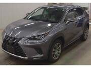 2020 LEXUS NX