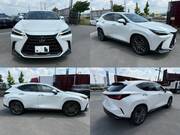 2024 LEXUS NX
