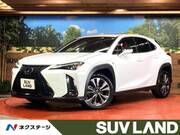 2020 LEXUS UX