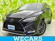 2019 LEXUS RX