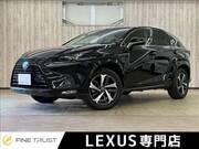 2019 LEXUS NX