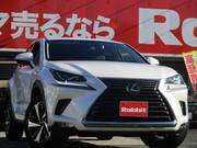 2018 LEXUS NX