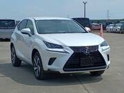 2019 LEXUS NX