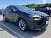 2023 LEXUS NX