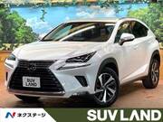 2018 LEXUS NX