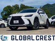 2024 LEXUS NX