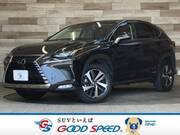2018 LEXUS NX