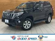 2016 TOYOTA LAND CRUISER PRADO TX