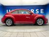 VOLKSWAGEN THE BEETLE