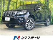 2023 TOYOTA LAND CRUISER PRADO