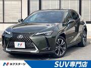 2019 LEXUS UX