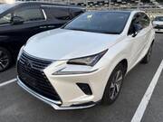 2020 LEXUS NX