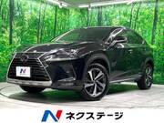 2020 LEXUS NX