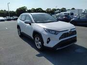 2019 TOYOTA RAV4 G