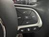 CHRYSLER JEEP RENEGADE