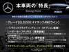 MERCEDES BENZ OTHER