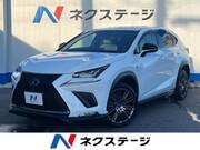 2019 LEXUS NX