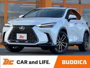 2022 LEXUS NX