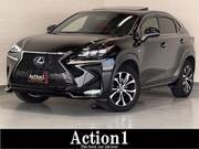 2014 LEXUS NX