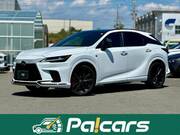 2024 LEXUS RX