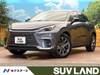 LEXUS OTHER