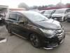 HONDA OTHER