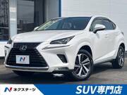 2019 LEXUS NX