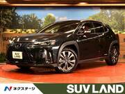 2019 LEXUS UX