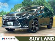 2019 LEXUS RX