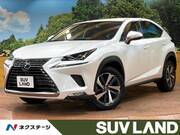 2019 LEXUS NX