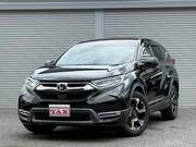 2019 HONDA OTHER