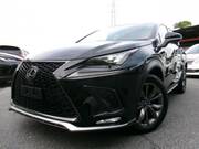 2017 LEXUS NX