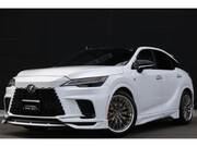 2024 LEXUS RX