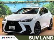 2023 LEXUS NX