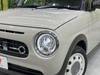 SUZUKI OTHER