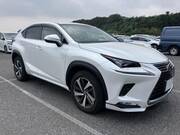 2018 LEXUS NX