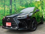 2021 LEXUS NX