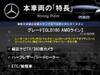 MERCEDES BENZ OTHER