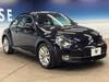 VOLKSWAGEN THE BEETLE