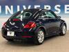 VOLKSWAGEN THE BEETLE