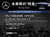 MERCEDES BENZ OTHER
