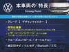 VOLKSWAGEN THE BEETLE