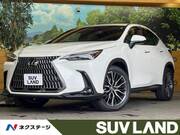 2022 LEXUS NX
