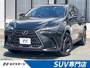 2023 LEXUS NX
