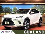 2018 LEXUS NX