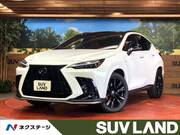 2023 LEXUS NX