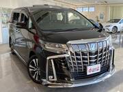 2019 TOYOTA ALPHARD