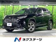 2019 TOYOTA RAV4 G