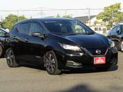 2019 NISSAN LEAF