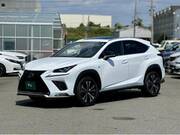 2019 LEXUS NX